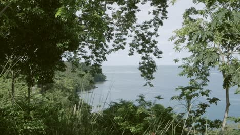 Der-Wunderschöne-Blick-Auf-Das-Meer-Von-Den-Grünen-Dschungelbäumen-Der-Insel-São-Tomé-–-Weitwinkelaufnahme