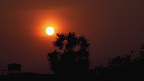 Wide-Still-Timelapse-Shot-of-an-Orange-Sun-Setting-Over-a-Silhouette-of-a-Palm-Tree