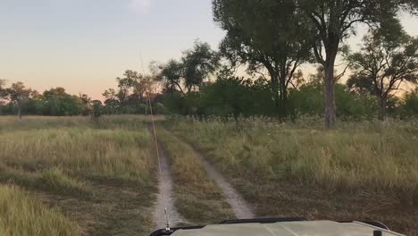 POV:-Safarifahrzeug-Fährt-Sandige-Zweispurige-Straße-In-Der-Savanne-Botswanas