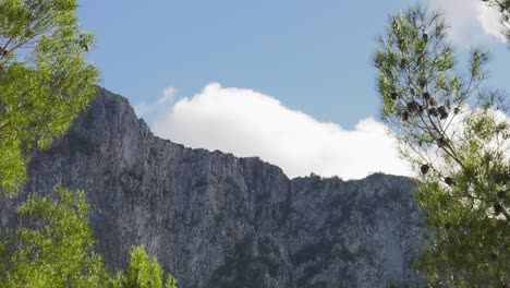 Clouds-moving-over-steep-rocky-ridge-with-pine-trees-in-foreground