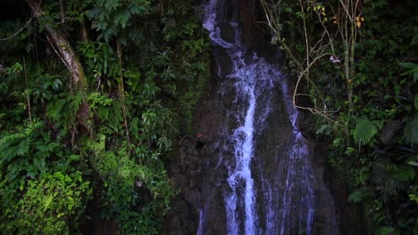 Ein-Kleiner-Wasserfall,-Der-Am-Straßenrand-In-Puerto-Rico-Gefunden-Wurde,-Als-Man-Durch-Einen-üppigen-Dschungel-Fuhr