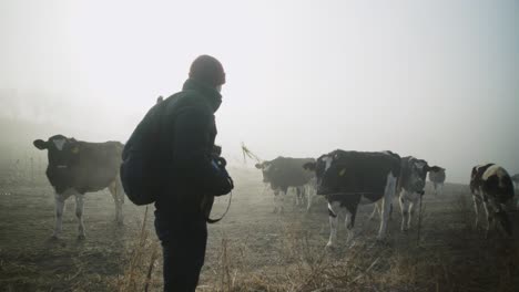 Caucasian-man-holds-green-grass-for-dairy-cow-to-eat-and-disinterested,-he-throws-it-on-the-farmland-ground-on-foggy-day,-handheld-close-up-pan