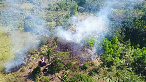 Aerial-view-around-a-smoking-forest-fire-in-a-jungle,-Amazon-rainforest-wildfire,-sunny-day,-in-Brazil,-South-America---orbit,-drone-shot