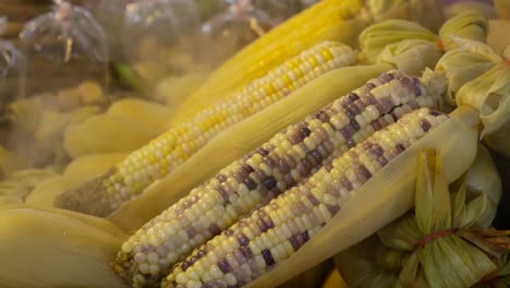 Close-up-Footage-of-Steamed-Corn-Displaying-At-Street-Food-Market