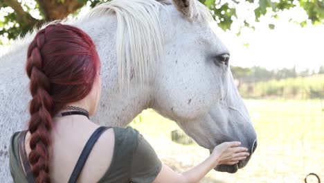 redhead-alternative-girl-petting-a-beautiful-white-horse-in-a-sunset,-taking-care-of-the-horse