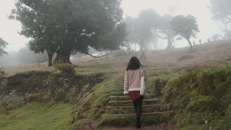 Mädchen-Gehen-In-Einem-Niedrigen-Winkel-über-Eine-Mit-Moos-Bedeckte-Holztreppe,-Lorbeerwald-Auf-Der-Insel-Madeira