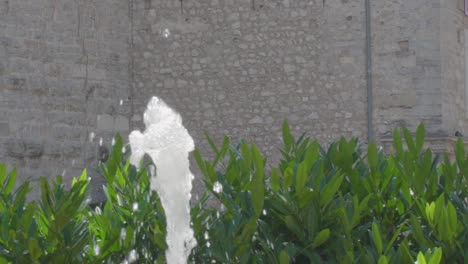 Close-up-slowmotion-of-a-small-fountain-in-the-center-of-Riva-Del-Garda-with-some-green-plants-and-the-wall-of-an-old-castle-in-the-background