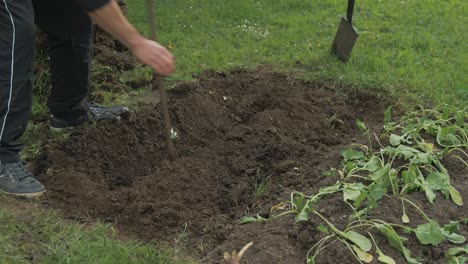 Using-crowbar-digging-trench-for-natural-fertilizer-gardening