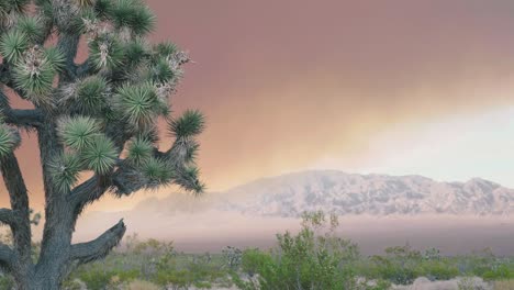 Joshua-tree-on-a-windy-day-with-smoke-from-wild-fire-and-mountains-in-a-background