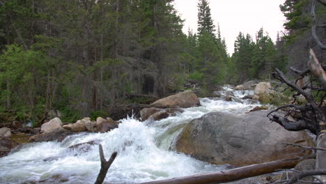 Steep-river-stream-with-waterfalls-and-pools-in-the-rocky-mountains-with-trees