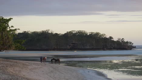 Hundeführer-Mit-Ihren-Pferden-Am-Tropischen-Strand-Bei-Ebbe-Auf-Fidschi-Bei-Sonnenuntergang