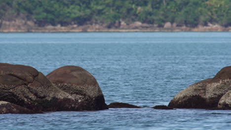 Rocks-among-sea-in-a-rainforest-beach