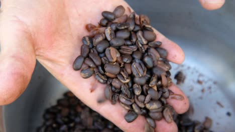 farmer-man-hand-checks-the-quality-of-roasted-coffee-beans