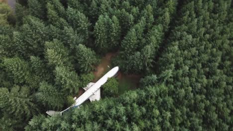 Old-Olympic-Airlines-Boeing-Airplane-Converted-to-Home-in-Thick-Evergreen-Forest-in-Oregon-State-USA,-Spinning-Birdseye-Aerial