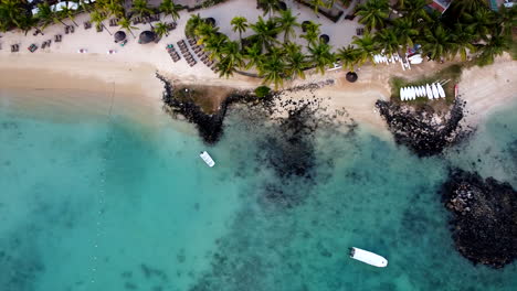 Birds-eye-top-down-aerial-of-colorful-sea-shore,golden-beach,palm-tree-and-rocks-in-transparent-blue-water