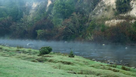Mysterious-Misty-Morning-at-River-in-Lush-Nature,-Pan-Left