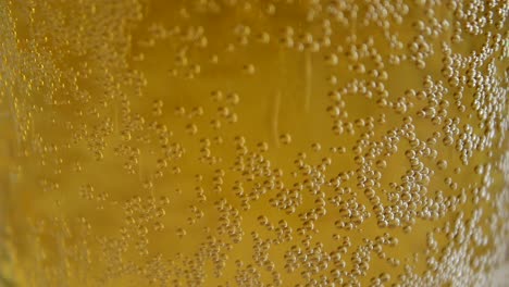 Bebida-De-Cerveza-Fría-Fresca-Con-Burbujas-Y-Espuma