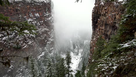 Looking-down-steep-cliff-into-a-valley-of-pine-trees-surrounded-by-mist