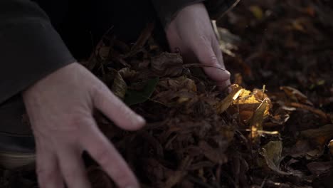 Hands-gathering-autumn-leaves-into-a-pile-medium-shot