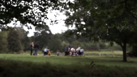 Small-crowd-of-people-in-the-park-defocused-wide-shot