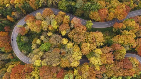 A-car-is-drving-behind-a-biker-in-a-tight-curve,-filmed-straight-from-above-at-a-wonderful-autumn-day