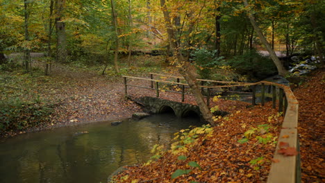 Brücke-Im-Herbstwaldpark