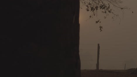 Pantanal-smoky-landscape-revealed-during-fire,-sunrise
