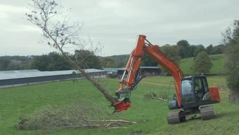 Digger-excavator-tree-shear-attachment-carries-and-drops-tree