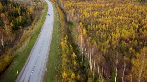 Beautiful-aerial-footage,-flying-over-colorful-autumn-forest-with-yellow-birches-and-firs,-cars-moving-on-the-road,-wide-angle-drone-shot-moving-forward,-camera-tilt-up