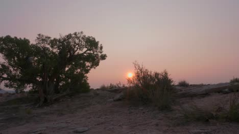 Incredible-orange-sun-sets-over-silhouetted-trees-and-shrubs-Moab-desert,-Utah,-USA