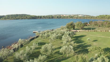 Luftflug-über-Einen-Wunderschönen-Kleinen-Olivenhain-In-Der-Nähe-Einer-Kleinen-Lagune-In-Kroatien