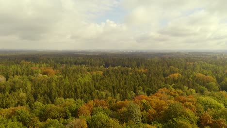 Ein-Vogel-Fliegt-Durch-Die-Kamera,-Während-Die-Drohne-An-Einem-Bewölkten,-Aber-Sonnigen-Tag-Mit-Blick-Auf-Einen-Wunderschönen,-Herbstlich-Gefärbten-Wald-Nach-Oben-Schaut