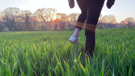 Woman-walking-away-from-a-low-camera-through-a-field-of-wheat-in-early-summer-at-sunset
