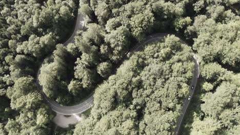 Aerial-view-at-a-double-curve-in-a-green-forest---special-effect-changing-its-color-from-black-and-white-to-color-by-increasing-the-videos-saturation-smoothly