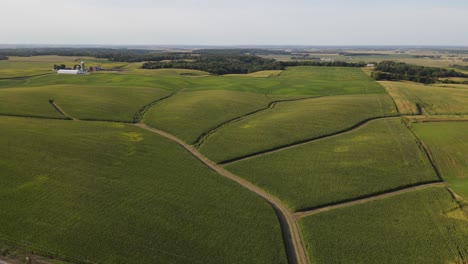 aerial-view-of-a-farm-in-south-mn,-corn-fields-during-summer-time,-midwest