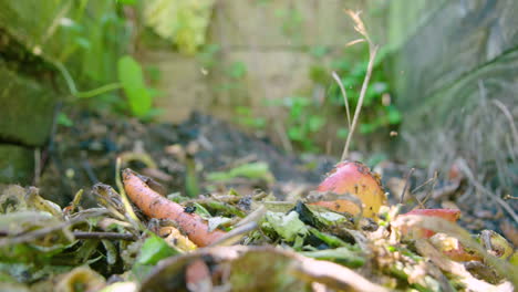 Biomüll-Fällt-Auf-Einen-Bunten-Komposthaufen,-Während-Fliegen-Mit-60-Bildern-Pro-Sekunde-Kreisen