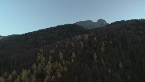 Herbstsaison-Im-Dunklen-Kiefernwald-Am-Berghang-In-Polen,-Luftaufnahmen