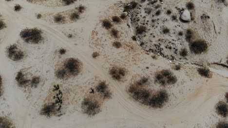 A-Man-leaves-footprints-in-the-desert-as-we-watch-him-from-a-drone-birds-eye-view-walk-through-the-bare-barren-desert-on-his-own-California-USA