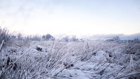 Motion-timelapse-of-magical-winter-views-of-moorland