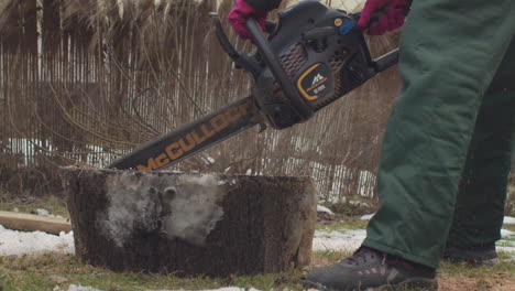 Handheld-shot-of-a-female-woodworker-cutting-a-log-laying-on-the-ground-with-a-chainsaw