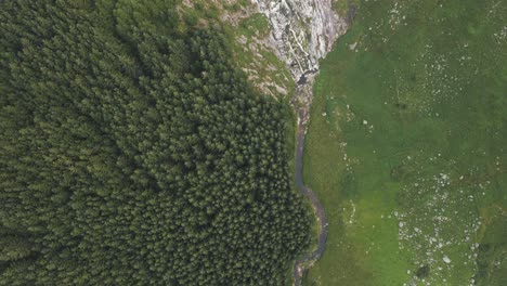 Top-down-View-Of-Dense-Coniferous-Trees-In-The-Mountain-Forest-Of-Wicklow,-Ireland-With-Majestic-Waterfall-Cascading-Down-Through-The-Valley---aerial-drone
