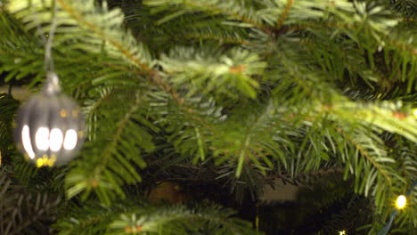Closeup-view-of-Christmas-tree