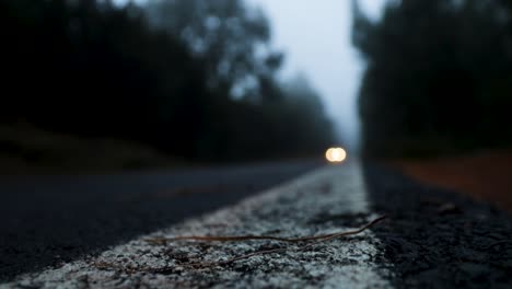 Foggy-road-in-the-dark,-misty-forest-at-late-autumn-with-a-car-coming-that-is-out-of-focus,-Tenerife