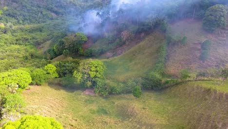 Aerial-view-of-a-group-of-people,-walking-towards-raging-bushfires,-in-the-tropical-forests-of-Australia---tracking,-drone-shot