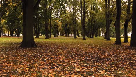 Gimbal-Bewegte-Aufnahme-Von-Herbstblättern,-Die-An-Einem-Bewölkten-Tag-Im-Park-Fallen
