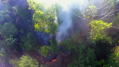 Aerial-view-of-burning-ground-and-rising-smoke-in-middle-of-jungle,-wildfires-raging-in-Rainforests-of-South-America---dolly,-drone-shot
