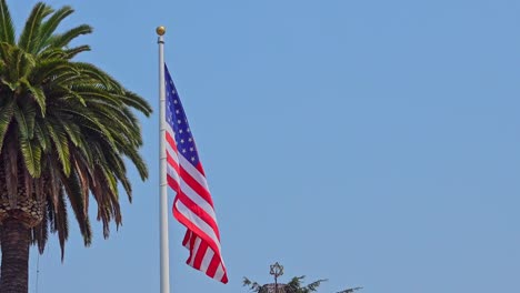 Camera-pulling-back-to-reveal-American-flag-and-palm-tree-blowing-in-the-wind-blue-sky