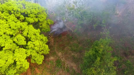 Forest-fires-threatens-animals,-wildfires-in-the-mountains-of-Portugal,-Europe---Aerial-drone-shot