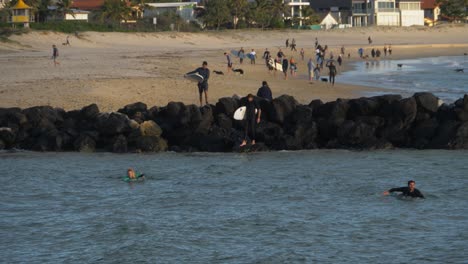Australian-People-With-Pet-Dogs-Enjoying-Currumbin-Beach---Surfers-Paddling-Towards-The-Waves---Groyne-Stones---Gold-Coast,-QLD,-Australia