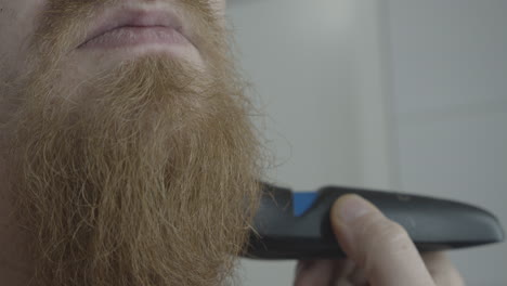 Man-shaves-his-long-beard-with-an-electric-razor